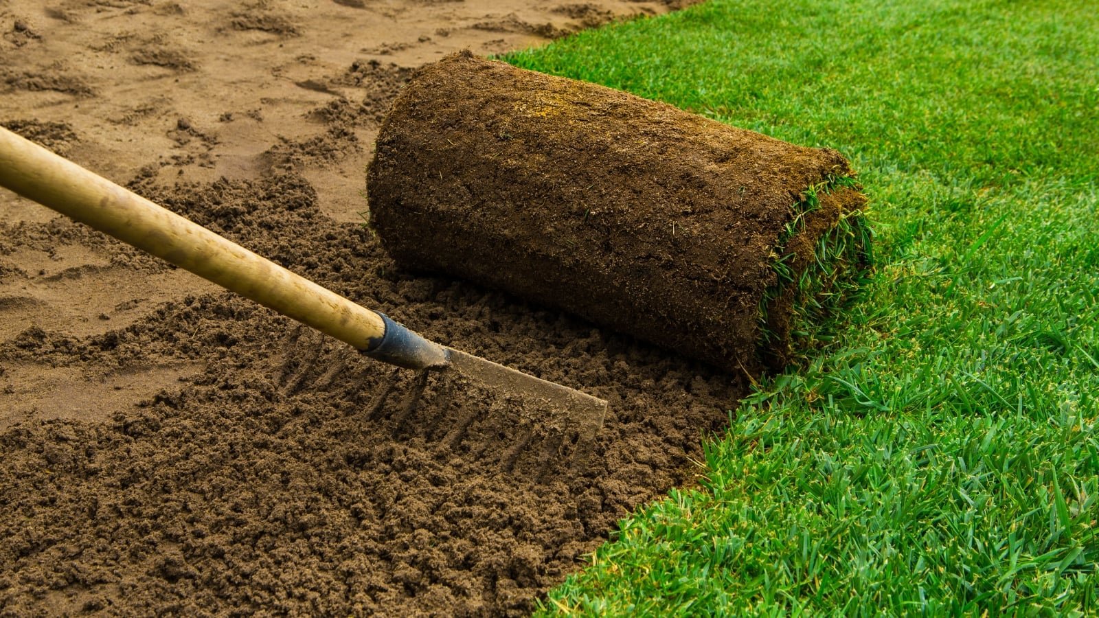 Can I Use Garden Soil for Lawn? What You Need to Know