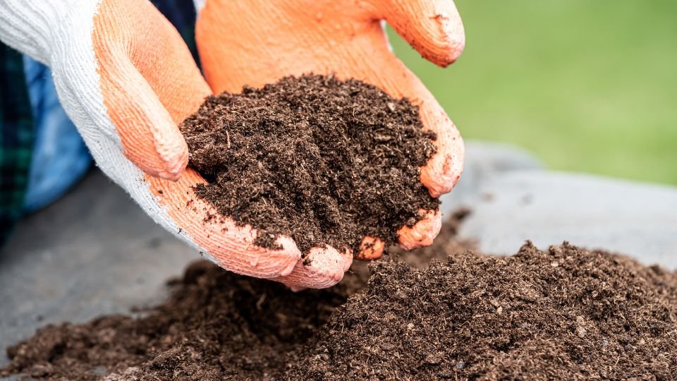 Can I Use Garden Soil for Lawn? What You Need to Know