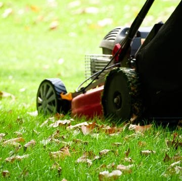 When to Stop Mowing Your Lawn for the Season