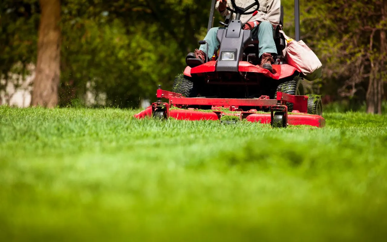 When to Mow After Overseeding for a Healthier, Thicker Lawn