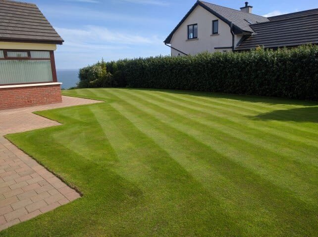 How to Mow Stripes in Your Lawn for a Professional, Eye-Catching Finish