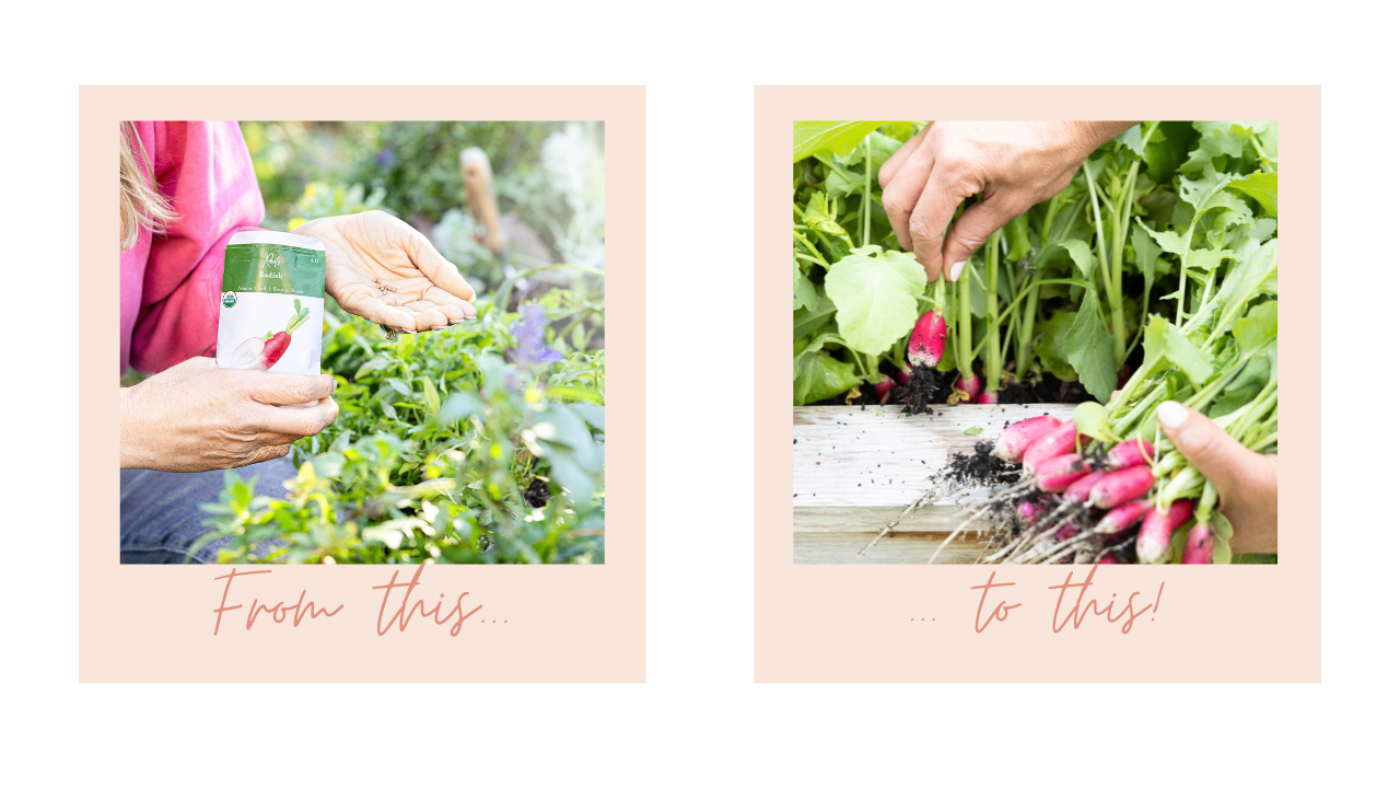 How to Grow Garden Plants Successfully: Tips for Healthy, Thriving Growth