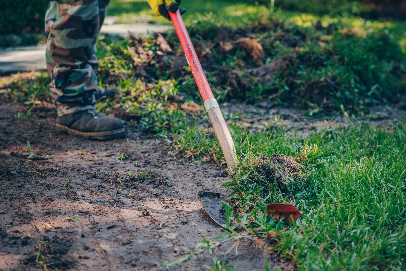 How to Remove Grass in Garden: Easy Methods to Clear and Prepare Your Beds