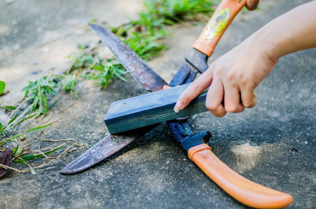How to Sharpen Garden Shears: Easy Step-by-Step Guide for Clean Cuts