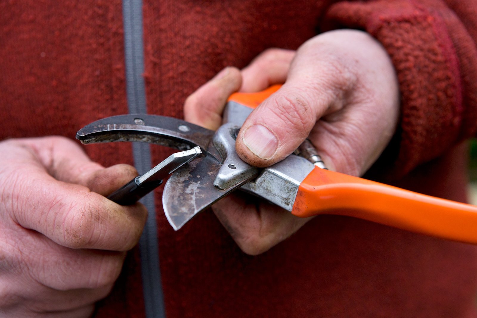 How to Sharpen Garden Shears with a Stone: A Simple Step-by-Step Guide