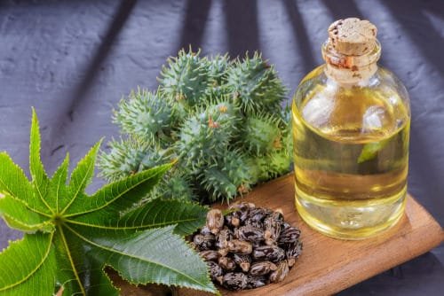 How to Use Castor Oil in the Garden: Benefits, Methods, and Best Practices