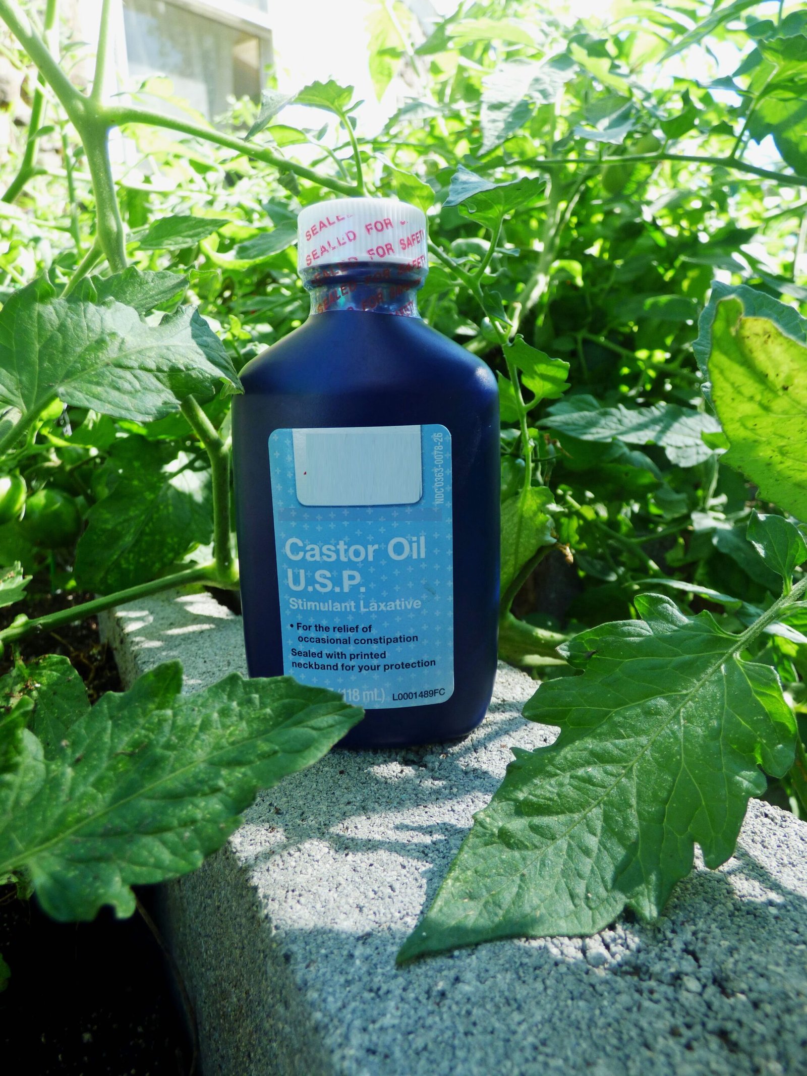 How to Use Castor Oil in the Garden: Benefits, Methods, and Best Practices