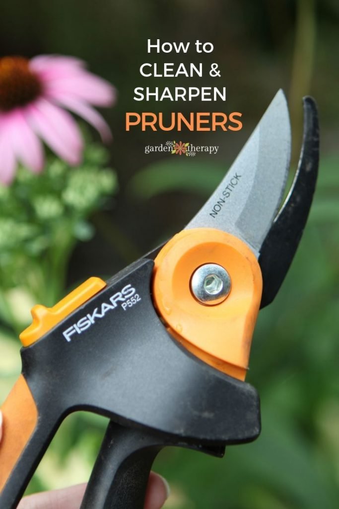 How to Clean Garden Pruners for Sharp, Healthy Cuts and Longer Tool Life