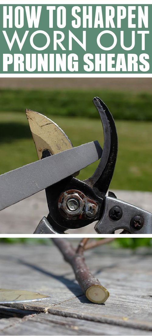 How to Sharpen Garden Clippers for Clean, Easy Cuts