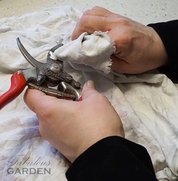 How to Clean Garden Pruners for Sharp, Healthy Cuts and Longer Tool Life