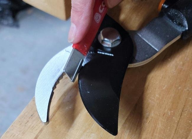 How to Sharpen Garden Loppers for Cleaner, Easier Cuts