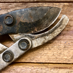 How to Sharpen Garden Shears with a Stone: A Simple Step-by-Step Guide