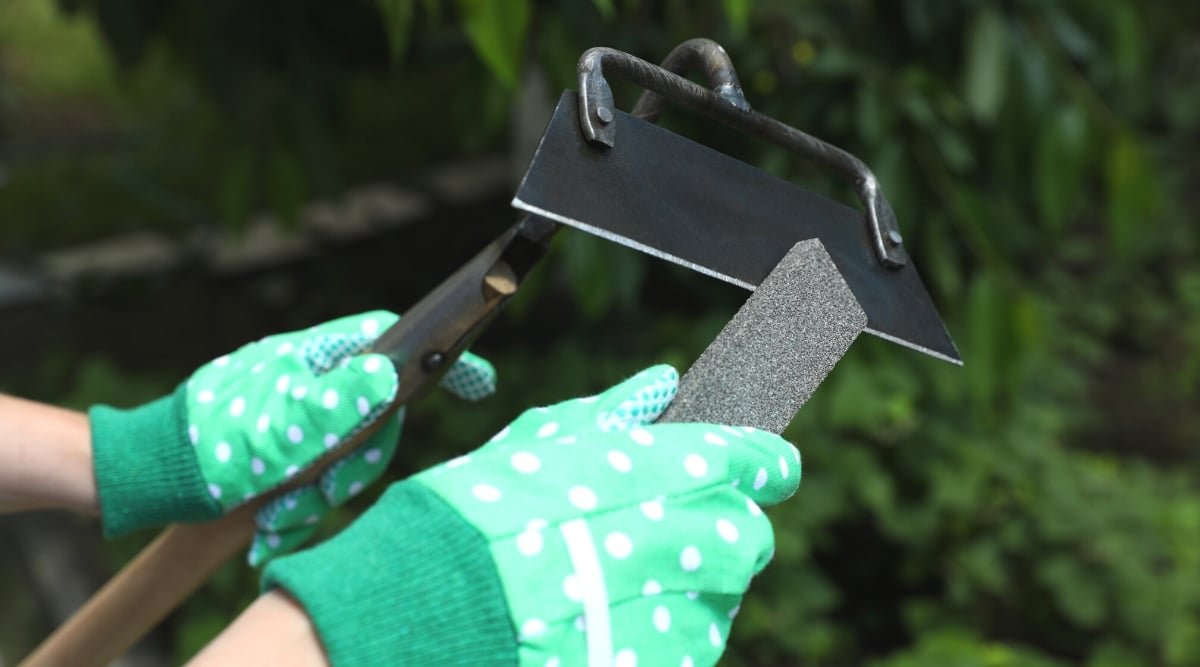 How to Sharpen Garden Shears with a Stone: A Simple Step-by-Step Guide