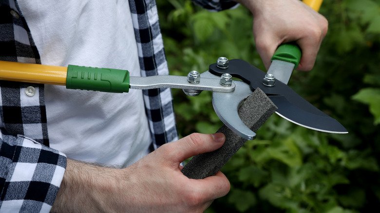How to Sharpen Garden Loppers for Cleaner, Easier Cuts