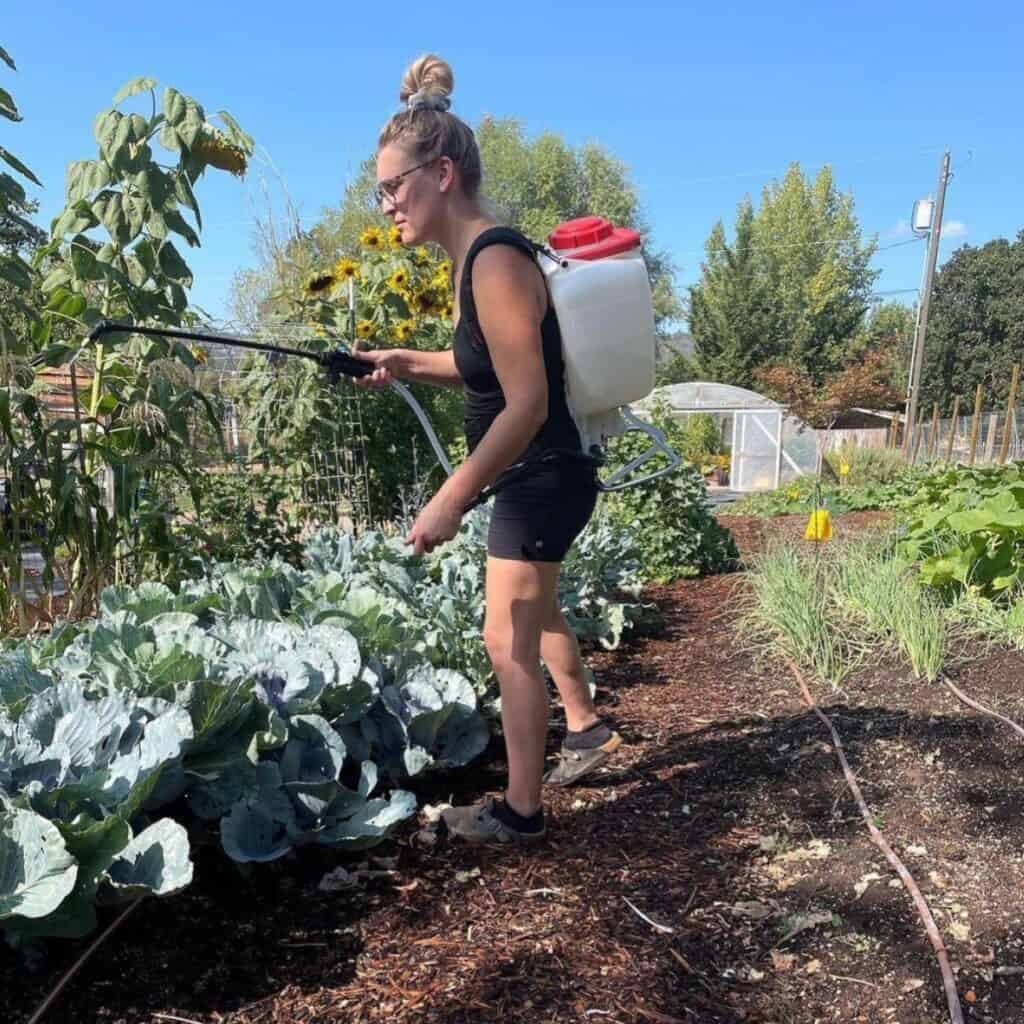 Can You Use Neem Oil on a Vegetable Garden? Benefits, Safety, and Best Practices