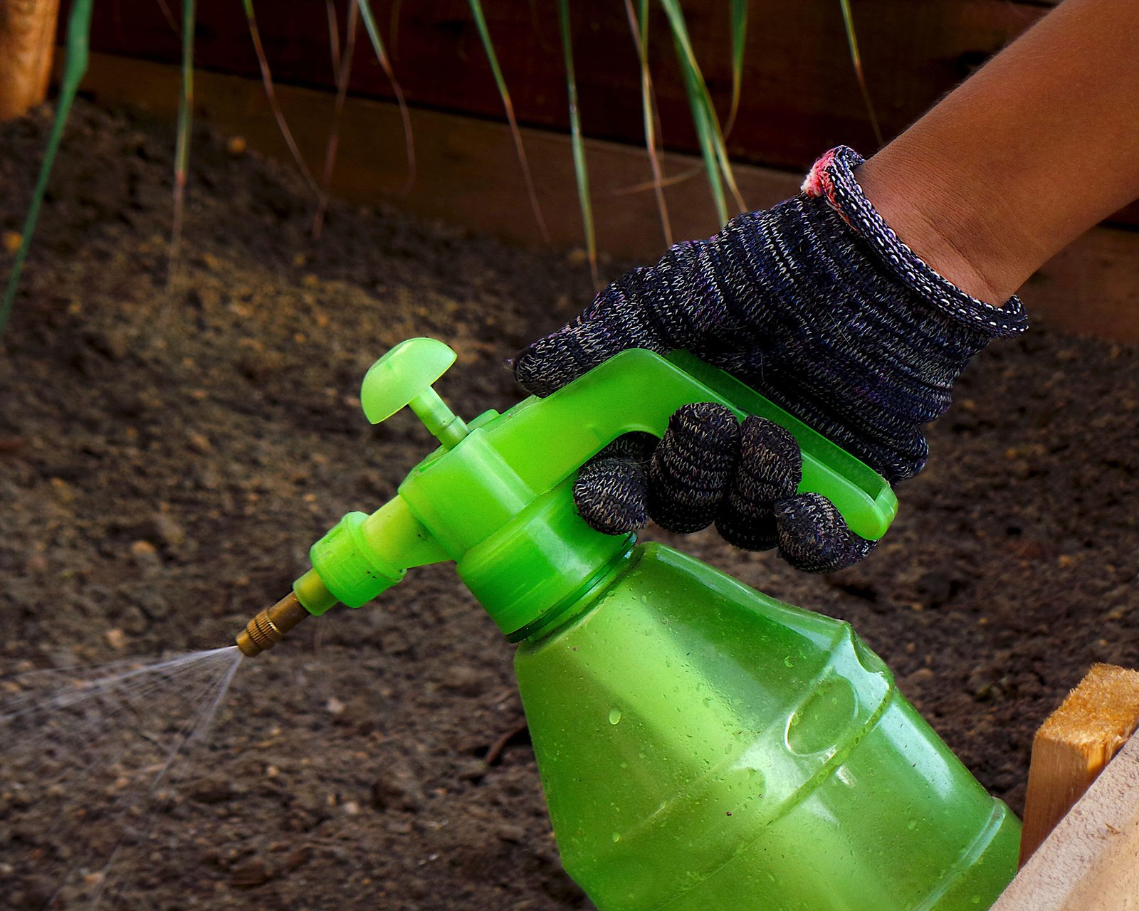 Can You Use Neem Oil on a Vegetable Garden? Benefits, Safety, and Best Practices